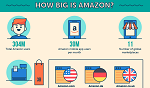 Amazon infographic