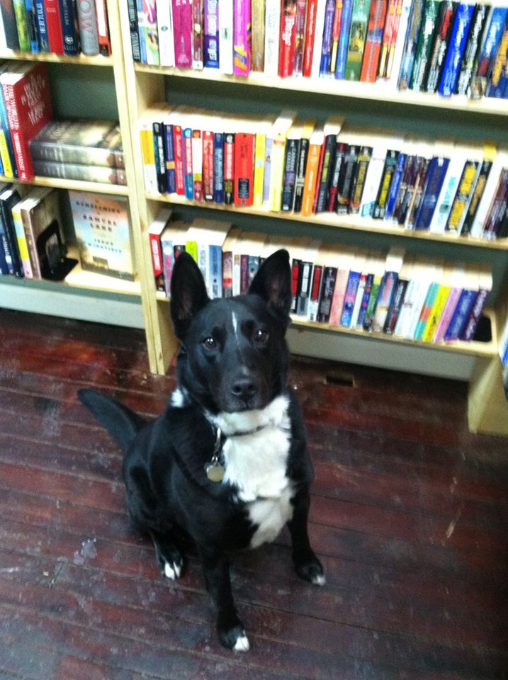 Riley at Dog Eared Books