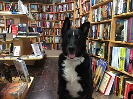 Riley of Dog Eared Book in Palmyra, New York.
